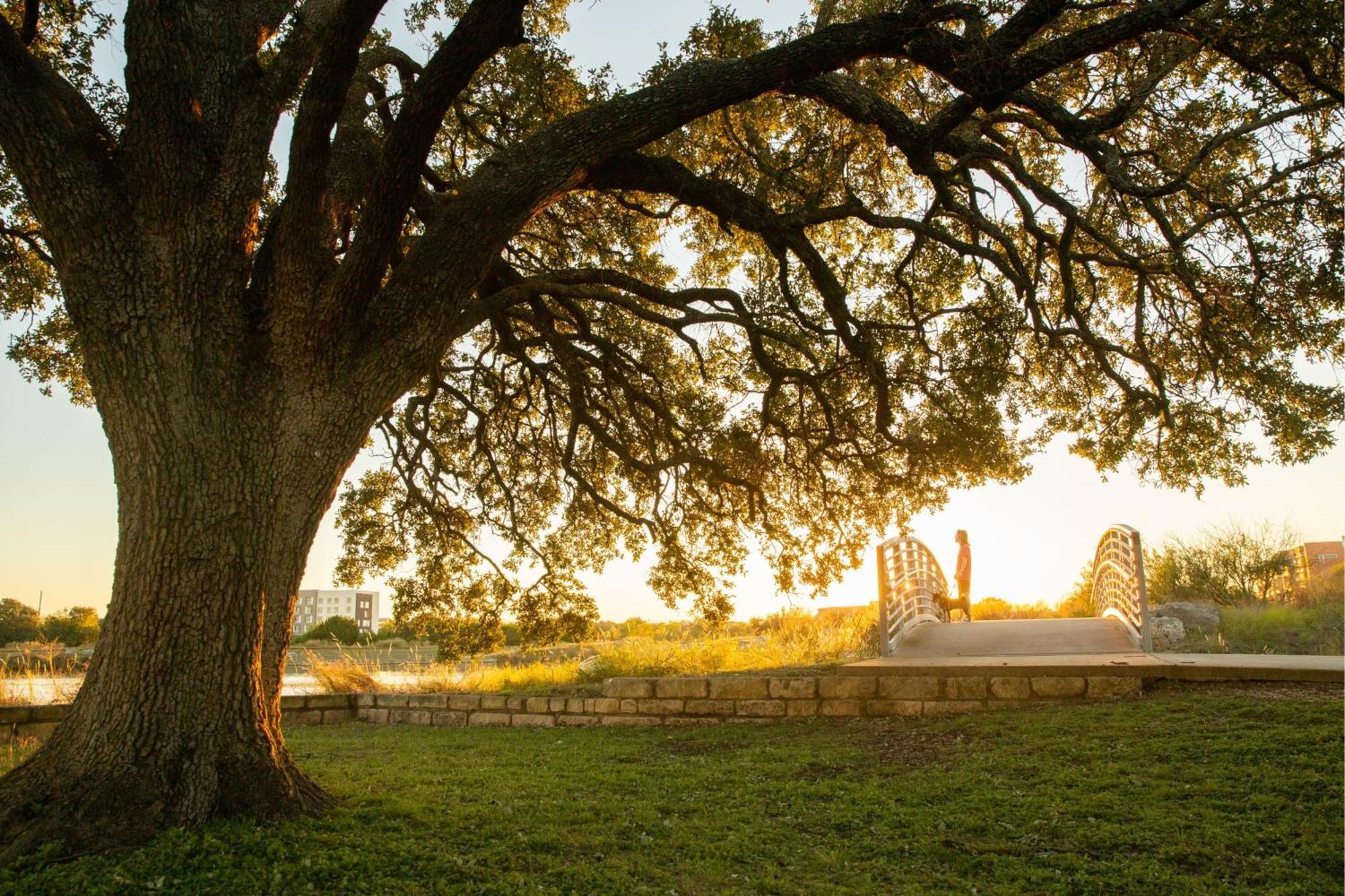 Springhill Suites By Marriott Austin Cedar Park Εξωτερικό φωτογραφία